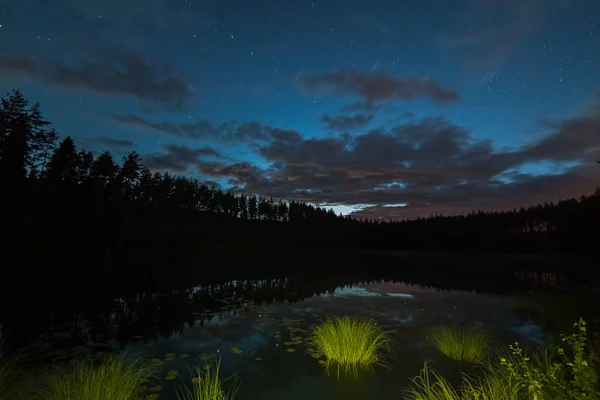 Un milione di stelle sul cielo nuvoloso sopra il lago di notte. erba in primo piano lunga esposizione. Via lattea — Foto Stock