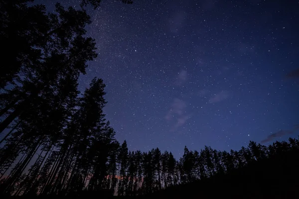 Un million d'étoiles la nuit. longue exposition. Voie lactée — Photo