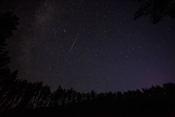 Um milhão de estrelas à noite. longa exposição. Chuva de meteoros. Via leitosa — Fotografia de Stock