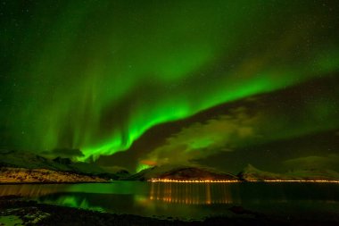 Güzel Aurora Borealis, kutup ışıkları, Kuzey Avrupa 'daki dağların üzerinden - Lofoten adaları, Norveç