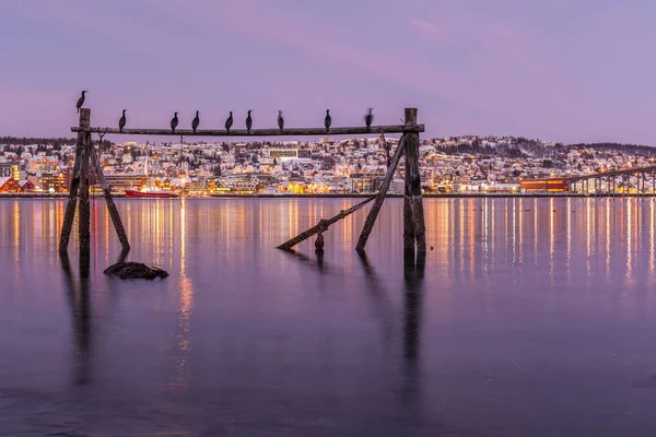 Lever de soleil incroyable avec une couleur magenta incroyable sur Tromso, Norvège. Bâtiment de pêche. Nuit polaire. vitesse d'obturation longue — Photo