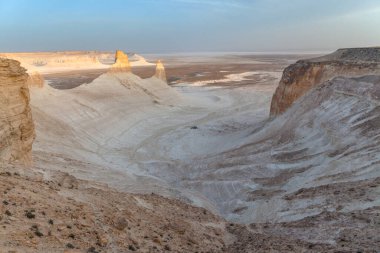 Ustyurt Platosu. Boszhir bölgesi. Kuru bir okyanusun dibinde Tetis. Rocky kalıntıları. Kazakistan. seçici odak