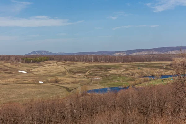 Early spring landscape in a field near the forest, russia, selective focus — Stock Photo, Image