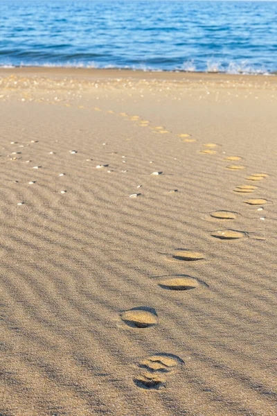 Сліди тварин у піску. Піщана текстура. Фон з коричневого піску. вибірковий фокус — стокове фото
