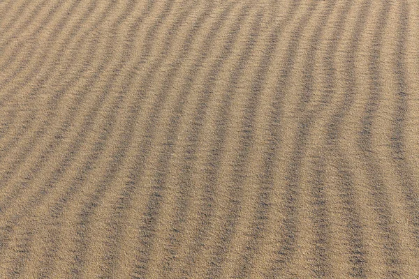 Texture sable. Fond de sable fin. Fond de sable. focus sélectif — Photo