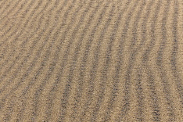 砂の質感。細かい砂からの背景。砂の背景。選択的焦点 — ストック写真