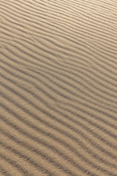 Песчаная текстура. Фон из мелкого песка. Песчаный фон. селективный фокус — стоковое фото
