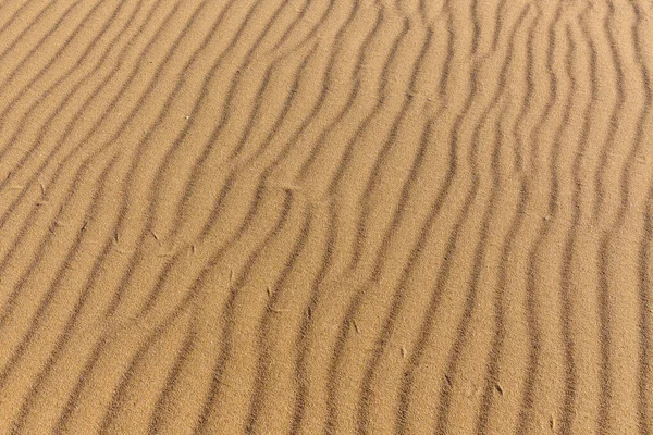 砂の質感。細かい砂からの背景。砂の背景。選択的焦点 — ストック写真