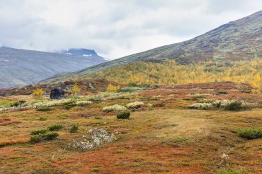 İsveç Laponya 'daki Sarek Milli Parkı' nın güzel vahşi doğası. Dağlık tepeler, nehirler, göller, huş ağaçları ve ladin ağaçlarıyla kaplı. Fırtınalı havada sonbahar renkleri. seçici odak