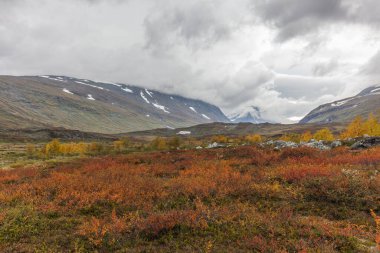 Vadi manzarası. Kuzey İsveç, Sarek Ulusal Parkı fırtınalı havada. seçici odak