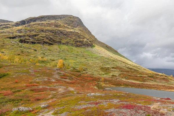 Beautiful wild nature of Sarek national park in Sweden Lapland with snow capped mountain peaks, rivers and lakes, birch and spruce tree forests. Early autumn colors in stormy weather. selective focus — 스톡 사진