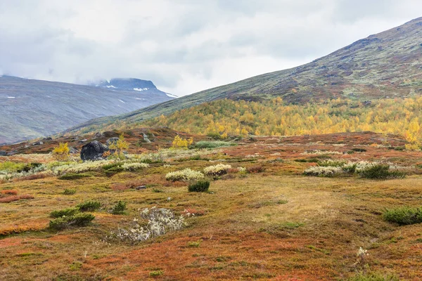 Beautiful wild nature of Sarek national park in Sweden Lapland with snow capped mountain peaks, rivers and lakes, birch and spruce tree forests. Early autumn colors in stormy weather. selective focus — 스톡 사진