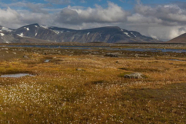 Sarek National Park in Lapland view from the mountain, autumn, Sweden, selective focus — 스톡 사진