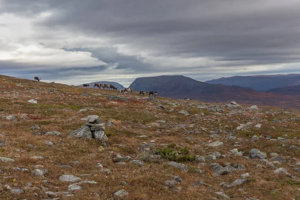 Kilátás Sarek Nemzeti Park ősszel, Svédország, szelektív fókusz — Stock Fotó