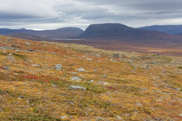 Herfst uitzicht op Sarek National Park, Lapland, Norrbotten County, Zweden, in de buurt van de grens van Finland, Zweden en Noorwegen. selectieve focus — Stockfoto