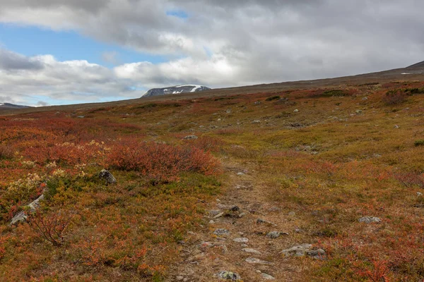 The animal trail that tourists use high in the mountains. Sarek, selective focus — 스톡 사진