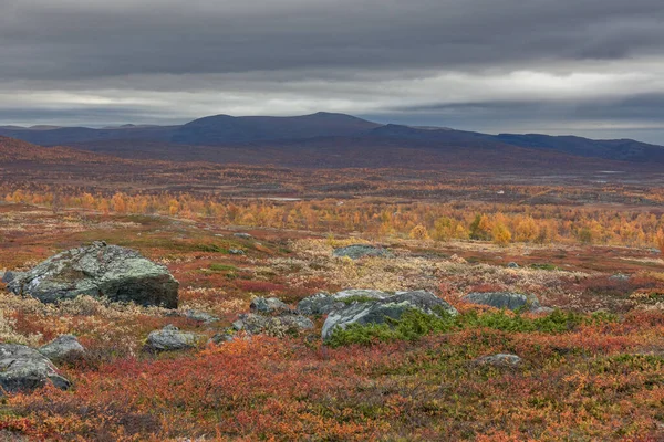 View to Sarek National Park in autumn, Sweden, selective focus — 스톡 사진