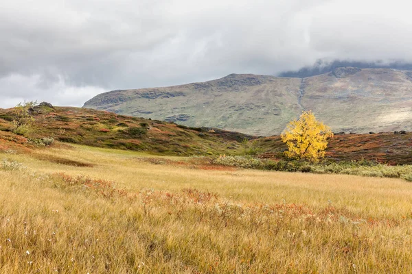 Působivý výhled na hory národního parku Sarek ve švédském Laponsku. selektivní zaměření — Stock fotografie