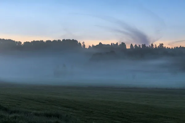 Πυκνή ομίχλη Ανατολή καλοκαίρι τοπίο πάνω από ένα πεδίο με τα δέντρα ορατό μέσα από την ομίχλη. επιλεκτική εστίαση — Φωτογραφία Αρχείου