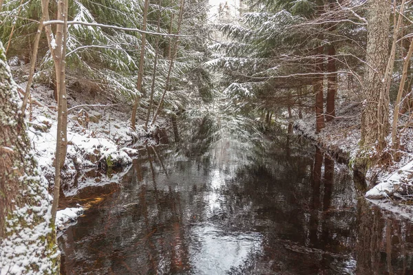 Forest creek in winter forest. Sweden, long shutter speed. — Stock Photo, Image
