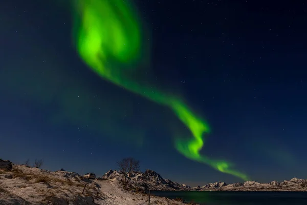 Amazing northern lights, aurora borealis over the mountains in the North of Europe - Lofoten islands, Norway — Stock Photo, Image