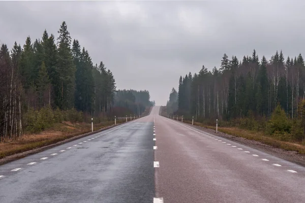 Asfalt, sisli, merkez İsveç 'te düz yol, seçici odak — Stok fotoğraf