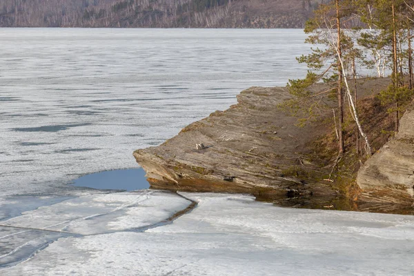 Naturaleza de primavera. Derretimiento de hielo en ríos y lagos. Día soleado en Siberia. enfoque selectivo —  Fotos de Stock