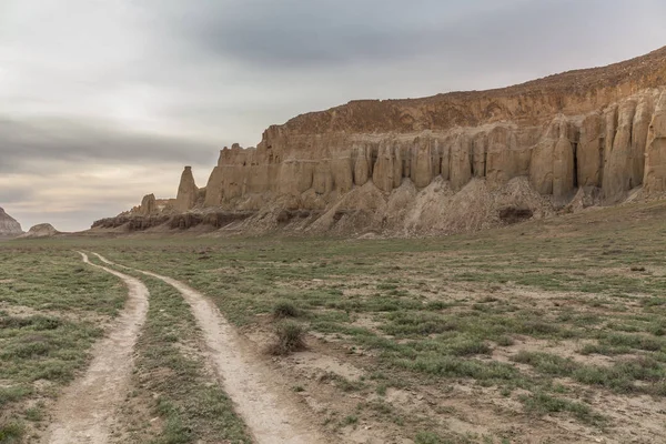 La meseta de Ustyurt. Distrito de Boszhir. El fondo de un océano seco Tetis. Restos rocosos. Kazajstán. enfoque selectivo — Foto de Stock