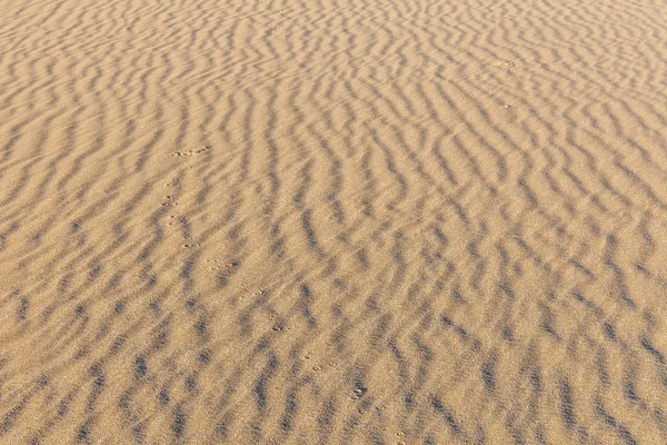 Písková textura. Pozadí z jemného písku. Písčité pozadí. selektivní zaměření — Stock fotografie