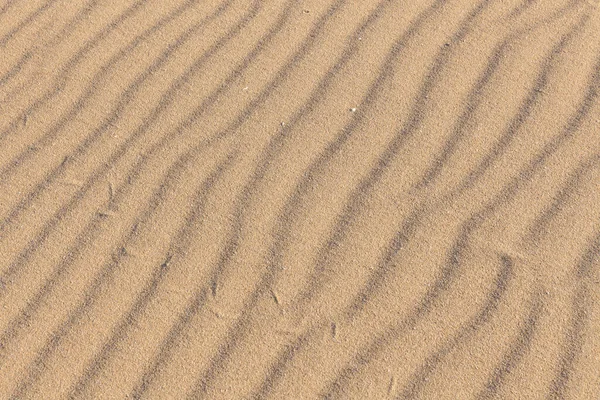 Spuren von Tieren im Sand. Sandstruktur. Hintergrund aus braunem Sand. Selektiver Fokus — Stockfoto