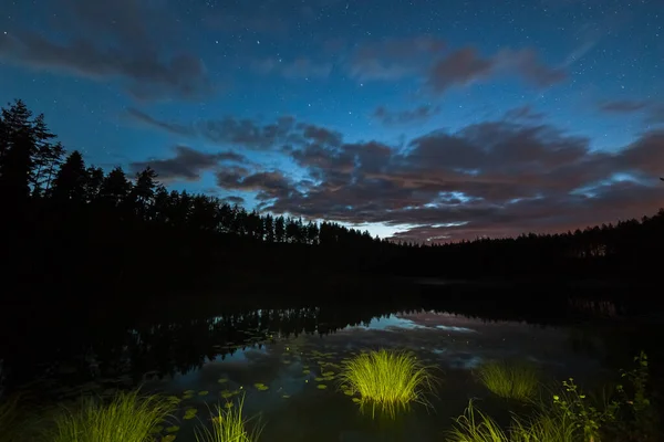 Un millón de estrellas en el cielo nublado sobre el lago en la noche. hierba en primer plano larga exposición. Vía Láctea —  Fotos de Stock