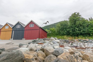 Kızgın martı kayıkhanelerin üzerinde uçuyor. Norveç 'in kıyı kesimindeki çok renkli garaj ahşap evleri.