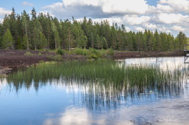 Çok iyi korunmuş bir 19. yüzyıl bakır fabrikası Orta Çağ 'a dayanıyor. İsveç, Riddarhyttan