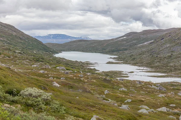 ノルウェーの夏の風景、夏には清潔で冷たい空気で雪をかぶった山々の素晴らしい景色、選択的な焦点. — ストック写真