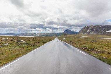 wet road in Norway mountains in summer season, selective focus.