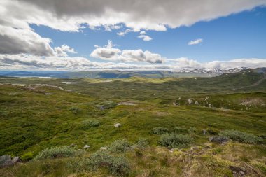 Green grass fields in Norway countryside near mountains. Cloudy foggy summer day, norwegian rural panoramic landscape. selective focus