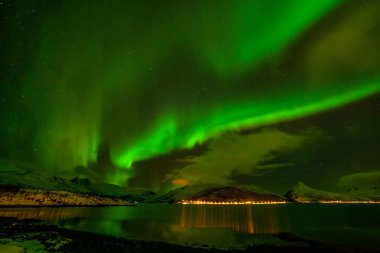Dramatik kutup ışıkları, Kuzey Avrupa 'daki dağların üzerindeki Aurora borealis - Lofoten adaları, Norveç