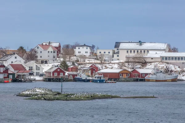 Utsikt över en norsk stad med många fåglar i fronten — Stockfoto