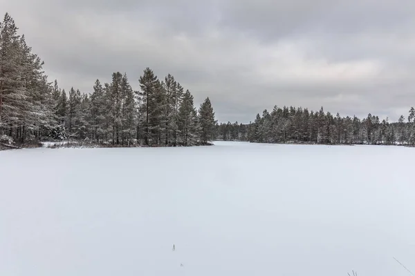 Lac gelé en Suède pendant les mois d'hiver . — Photo