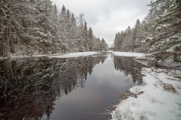 Torrente foresta nella foresta invernale. Svezia, tempo di posa lungo . — Foto Stock