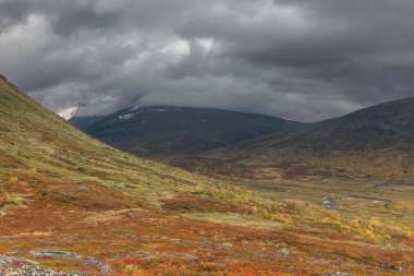 İsveç Ulusal Parkı 'ndaki pamuk-çimenli dağ manzarası fırtınalı havada Kraliyet pisti etrafında Sarek. seçici odak