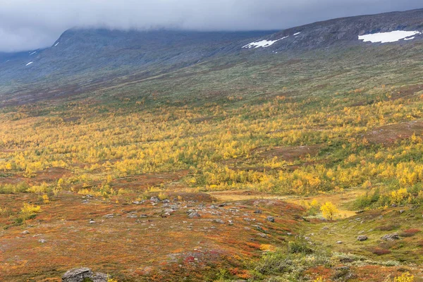 Krajobraz górski z trawą bawełnianą w szwedzkim parku narodowym Sarek wokół toru królewskiego w burzliwą pogodę. ukierunkowanie selektywne — Zdjęcie stockowe