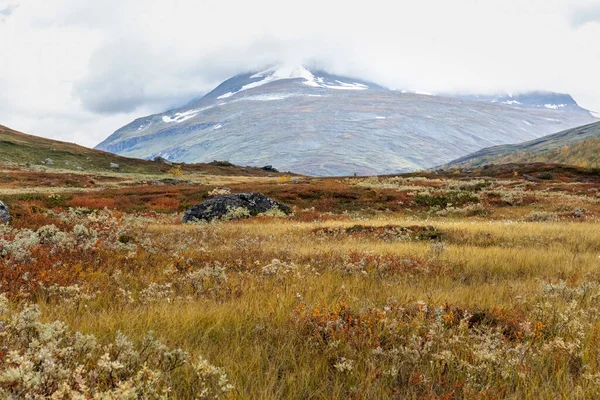 Beautiful wild nature of Sarek national park in Sweden Lapland with snow capped mountain peaks, rivers and lakes, birch and spruce tree forests. Early autumn colors in stormy weather. selective focus — 스톡 사진