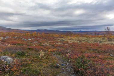 Sarek Ulusal Parkı, Laponya, Norrbotten County, İsveç, Finlandiya, İsveç ve Norveç sınırının sonbahar manzarası. seçici odak