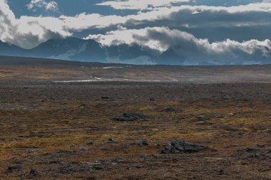 Sonbaharda Sarek Ulusal Parkı, İsveç, seçici odaklanma