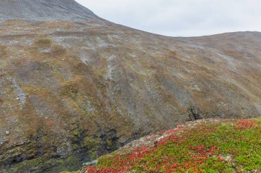 Laponya 'daki Sarek Ulusal Parkı gökyüzünden seçici bir odak noktası