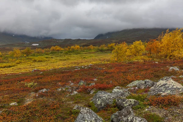 Vue d'automne sur le parc national de Sarek, Laponie, comté de Norrbotten, Suède, près de la frontière de la Finlande, de la Suède et de la Norvège. focus sélectif — Photo