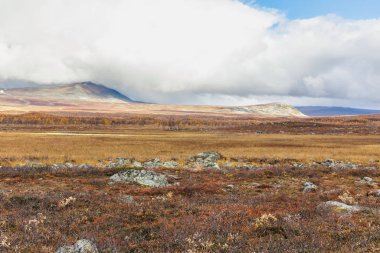 Laponya 'daki Sarek Ulusal Parkı dağdan, sonbahardan, İsveç' ten seçici bir odak noktası