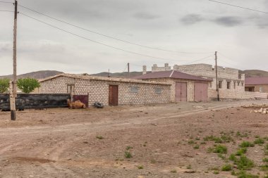 Ustyurt Platosu 'ndaki köyün yakınında yürüyen deve. Boszhir bölgesi. Kuru bir okyanusun dibinde Tetis. Kazakistan