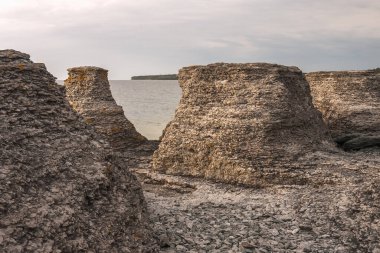 Sahil kireçtaşı oluşumları, Raukar, Byrum 'da İsveç adası Oland' da, Baltık Denizi 'nde güneş ve rüzgar adası, seçici odak noktası.